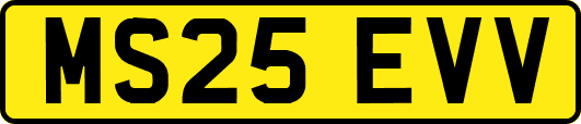 MS25EVV
