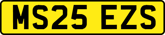 MS25EZS