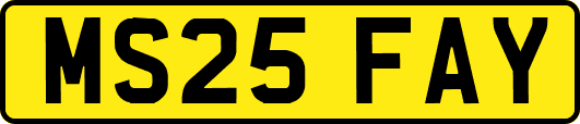 MS25FAY