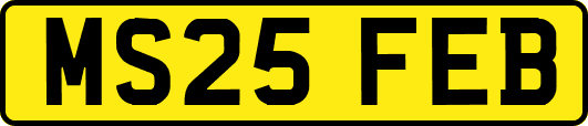 MS25FEB