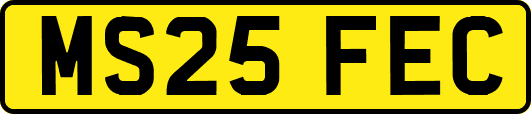 MS25FEC