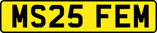 MS25FEM