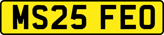 MS25FEO