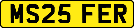 MS25FER