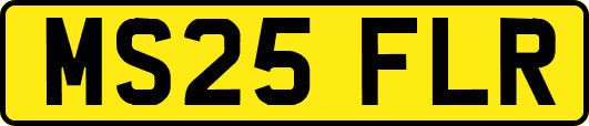 MS25FLR