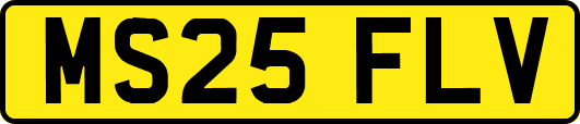MS25FLV
