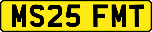 MS25FMT