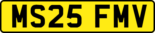 MS25FMV