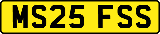 MS25FSS