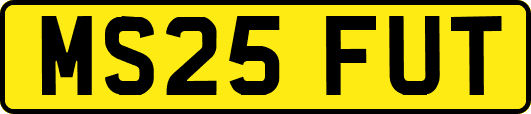 MS25FUT