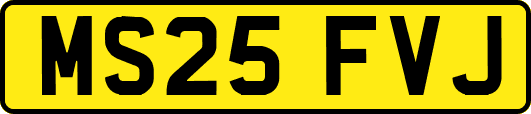 MS25FVJ
