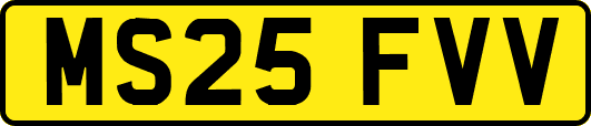 MS25FVV