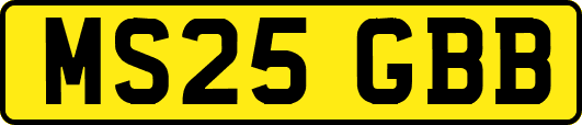MS25GBB