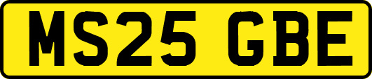 MS25GBE