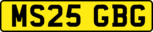 MS25GBG