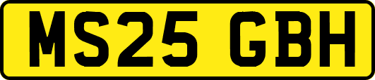 MS25GBH