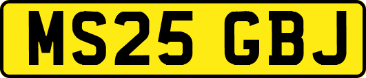 MS25GBJ