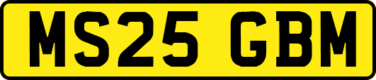 MS25GBM