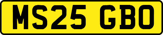 MS25GBO