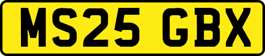 MS25GBX