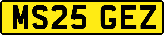 MS25GEZ