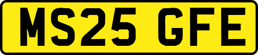 MS25GFE