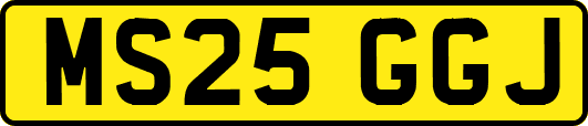 MS25GGJ