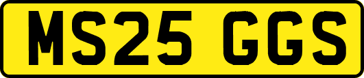 MS25GGS
