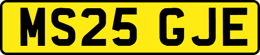 MS25GJE