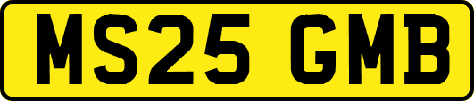 MS25GMB