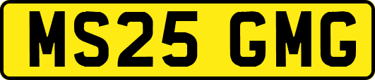 MS25GMG