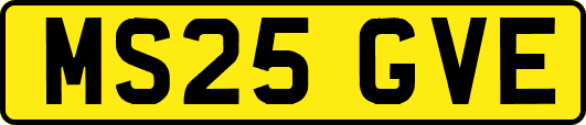 MS25GVE
