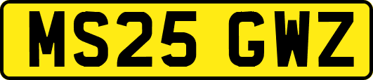 MS25GWZ