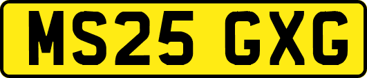 MS25GXG