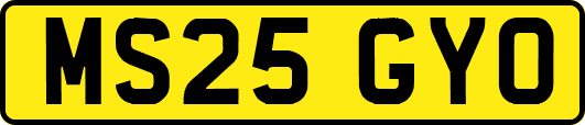 MS25GYO