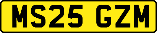 MS25GZM