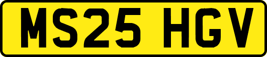 MS25HGV