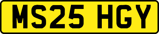 MS25HGY