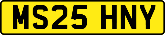 MS25HNY