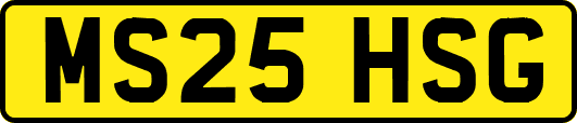 MS25HSG