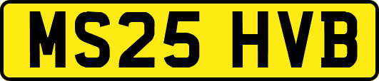MS25HVB