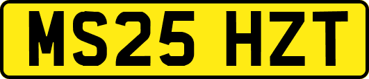 MS25HZT