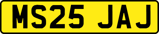 MS25JAJ
