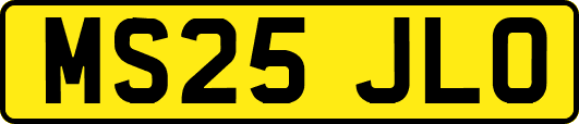 MS25JLO
