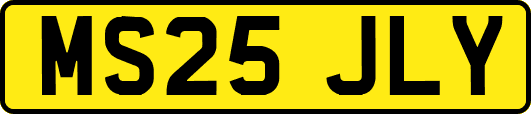 MS25JLY
