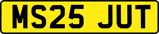 MS25JUT
