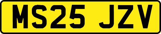 MS25JZV