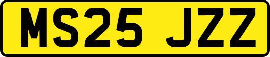 MS25JZZ