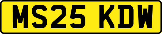 MS25KDW