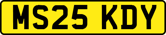 MS25KDY